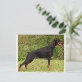 doberman pinscher zwart vol briefkaart (Staand voorkant)