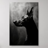 Doberman Pinscher Zwart-wit Poster (Voorkant)