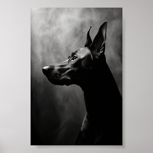 Doberman Pinscher Zwart-wit Poster (Voorkant)