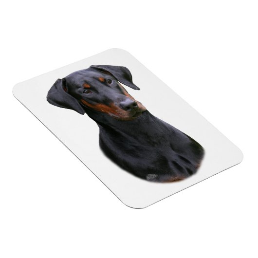 Doberman Pinscher - zwarte natuurlijke oormagneet Magneet (Rechterzijde)