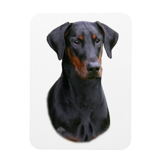 Doberman Pinscher - zwarte natuurlijke oormagneet Magneet (Verticaal)