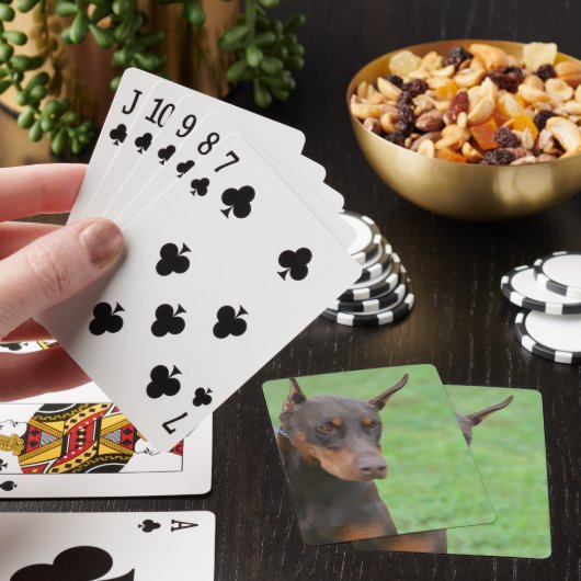 Doberman Pokerkaarten (Insitu)