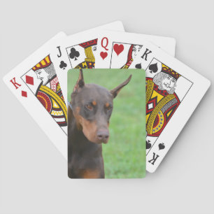 Doberman Pokerkaarten