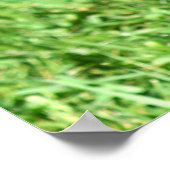 Doberman poster (Hoek)