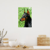 Doberman poster (Keuken)