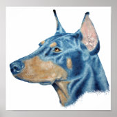 Doberman Poster (Voorkant)
