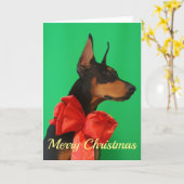 Doberman Potrait met de Rode Boog van Kerstmis Kaart (Gele Bloem)