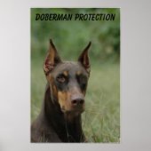 Doberman Protection Poster (Voorkant)