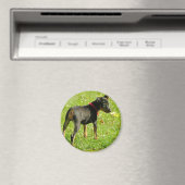 Doberman Puppies ronde magneet (Insitu (Vaatwasser))