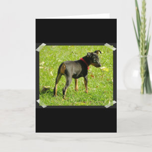Doberman Puppies Wenskaart Kaart