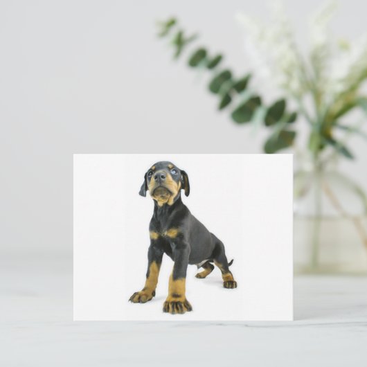 Doberman Puppy Briefkaart (Staand voorkant)