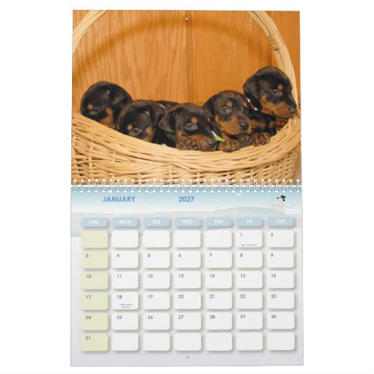 Doberman Puppy Calendar Kalender (Jan 2027)