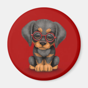 Doberman Puppy Dog met leesbril, rood Magneet