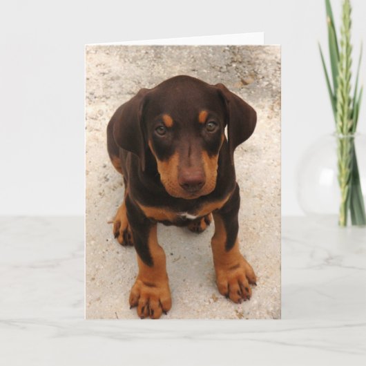 Doberman Puppy Kaart (Voorkant)
