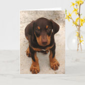 Doberman Puppy Kaart (Gele Bloem)
