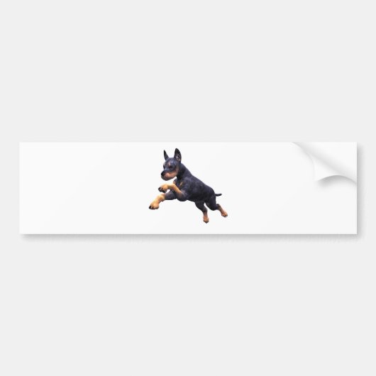 Doberman Puppy Leaping Bumpersticker (Voorkant)