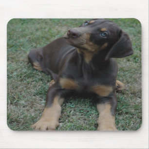 Doberman Puppy mousepad Muismat