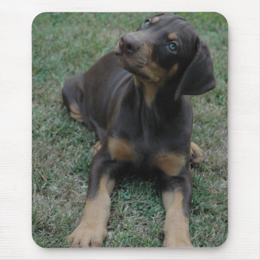 Doberman Puppy mousepad Muismat (Voorkant)
