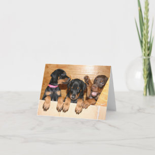 Doberman Puppy Note Card Kaart