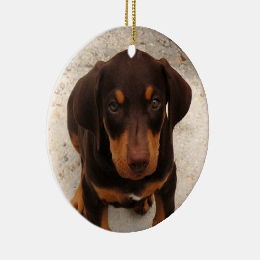 Doberman Puppy Ornament (Rechts)
