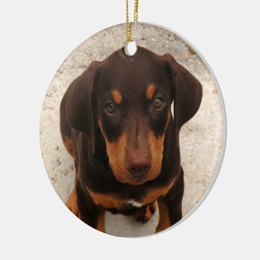 Doberman Puppy Ornament (Links)