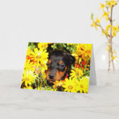 Doberman puppy wenskaart kaart (Gele Bloem)