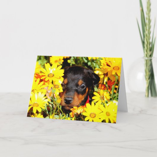 Doberman puppy wenskaart kaart (Voorkant)