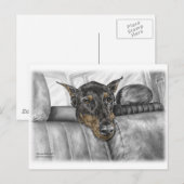 Doberman Riding in auto Briefkaart (Voorkant / Achterkant)