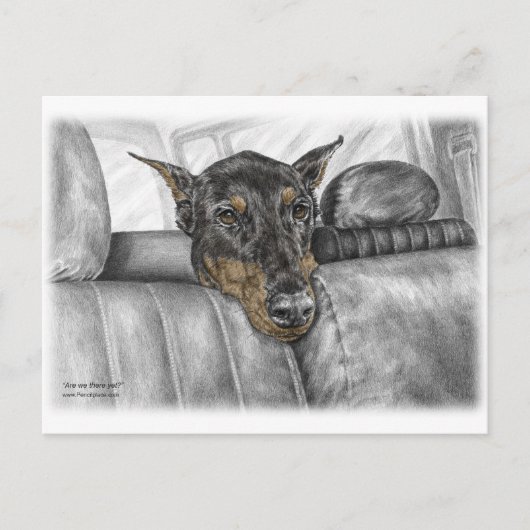 Doberman Riding in auto Briefkaart (Voorkant)