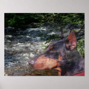 Doberman River Tree Fantasy Art Poster