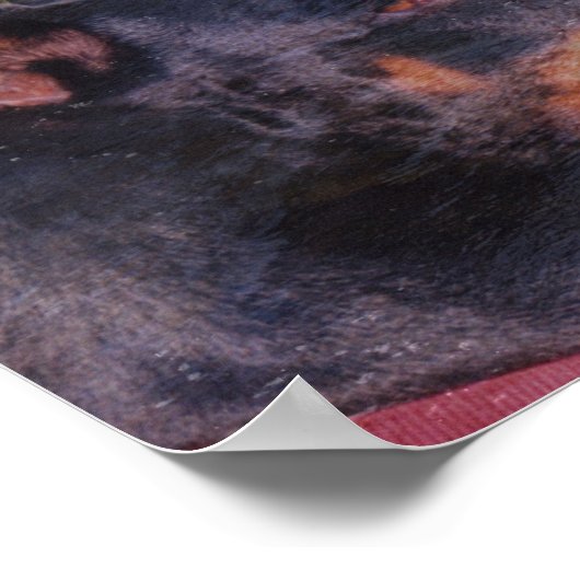 Doberman Rocks Fantasy Art Poster (Hoek)