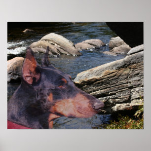 Doberman Rocks Fantasy Art Poster