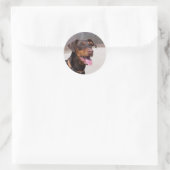 Doberman Ronde Sticker (Tas)