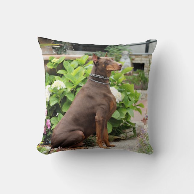 Doberman - Rood - Rocky - Garden van de Carmel-ker Kussen (Voorkant)