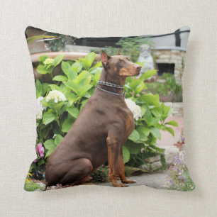 Doberman - Rood - Rocky - Garden van de Carmel-ker Kussen