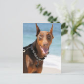 Doberman - Rood - Slecht voor botten Briefkaart (Staand voorkant)
