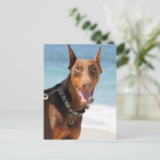 Doberman - Rood - Slecht voor botten Briefkaart (Staand voorkant)