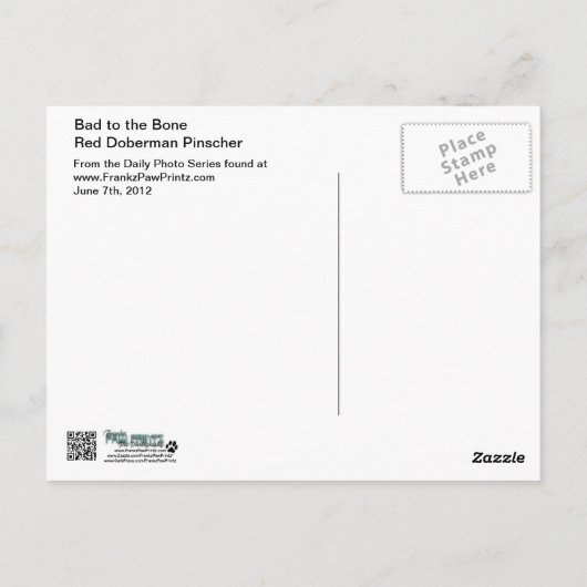 Doberman - Rood - Slecht voor botten Briefkaart (Achterkant)