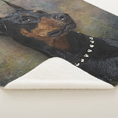 Doberman Sherpa Deken (3/4)