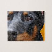 Doberman sluit af legpuzzel (Horizontaal)