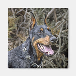 Doberman Smile Magnet