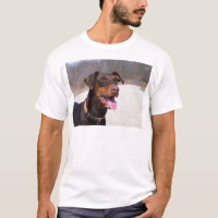 Doberman