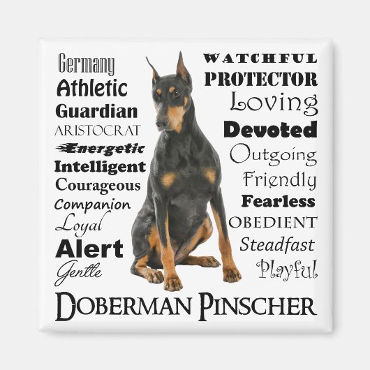Doberman Traits Magnet (Voorkant)