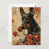 Doberman  Valentijnsdag Briefkaart (Voorkant / Achterkant)