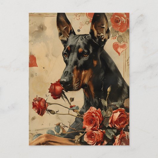 Doberman  Valentijnsdag Briefkaart (Voorkant)