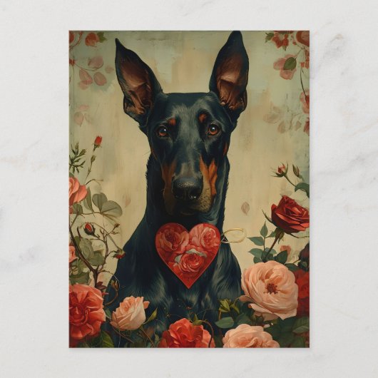 Doberman  Valentijnsdag Briefkaart (Voorkant)