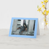 Doberman, wou dat je hier was kaart (Gele Bloem)