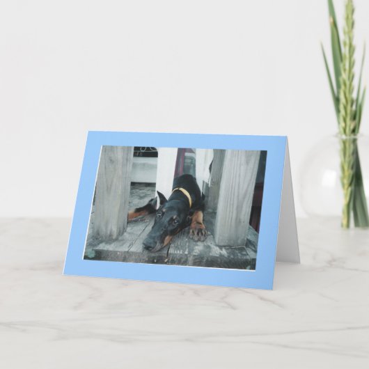 Doberman, wou dat je hier was kaart (Voorkant)