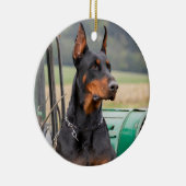 Doberman zit in een groen boerderij keramisch ornament (Rechts)