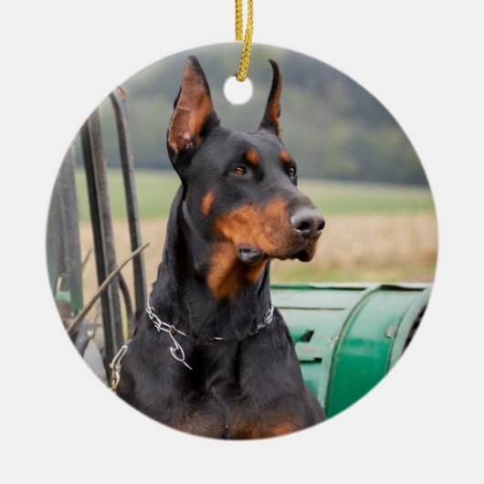 Doberman zit in een groen boerderij keramisch ornament (Voorkant)